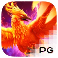 pg image