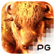 pg image